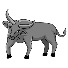 Bull curious clipart
