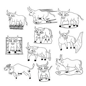Bull Set black and white vector