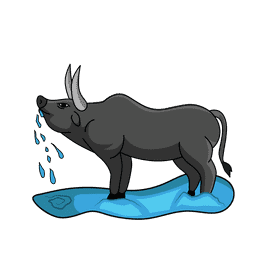 Bull Drink clipart