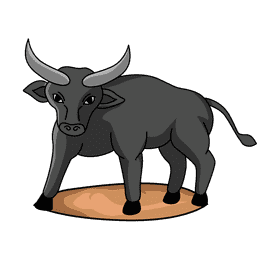 Bull In Arena clipart
