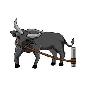 Bull With Rope clipart