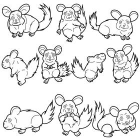 Chinchilla set black and white vector
