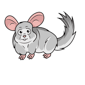 Chinchilla clipart