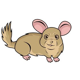 Chinchilla clipart
