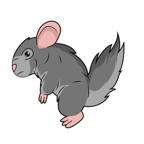 Chinchilla clipart