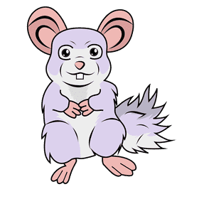 Chinchilla clipart