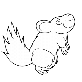 Chinchilla black and white clipart