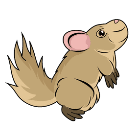 Chinchilla clipart