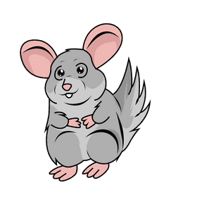 Chinchilla clipart