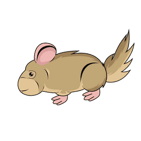 Chinchilla clipart