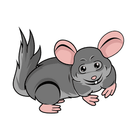 Chinchilla clipart