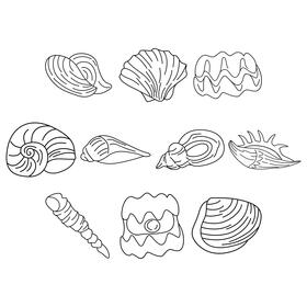 Clam  set black and white vector