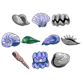 Clam vector set vector