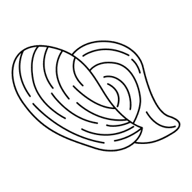 Clam horse mussels black and white clipart