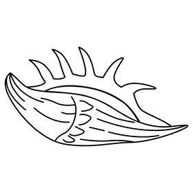 Clam murex trapa black and white clipart