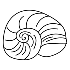 Clam snail shell black and white clipart
