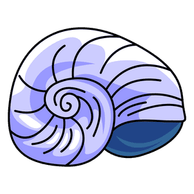 Clam snail shell clipart