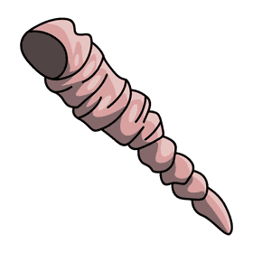 Clam tower shell clipart