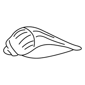 Clam tulip shell black and white clipart