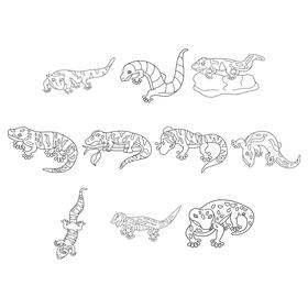 Gecko  set black and white vector