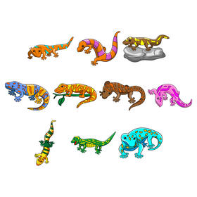 Gecko vector set vector