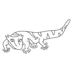 Gecko crested orange black and white clipart