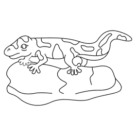 Gecko on a rock black and white clipart