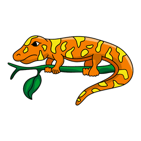 Gecko on a tree clipart