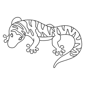 Gecko orange stripe black and white clipart