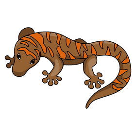 Gecko orange stripe clipart