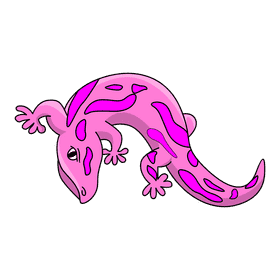 Gecko pink gecko clipart