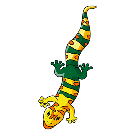 Gecko yellow green clipart