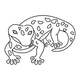 Gecko yellow spotted black and white clipart