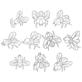 Housefly  set black and white vector