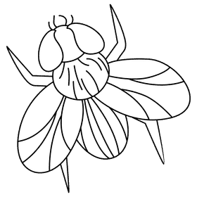 Housefly blackfly black and white clipart