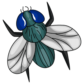Housefly blackfly clipart