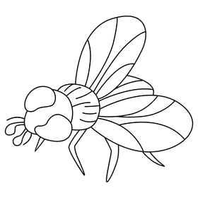 Housefly blowfly black and white clipart