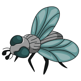 Housefly blowfly clipart