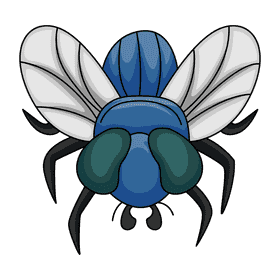 Housefly bluebottle clipart