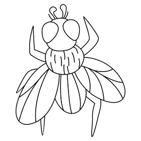 Housefly cleaning the wing black and white clipart