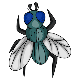 Housefly cleaning the wing clipart