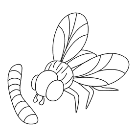Housefly fly maggots black and white clipart