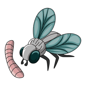 Housefly fly maggots clipart