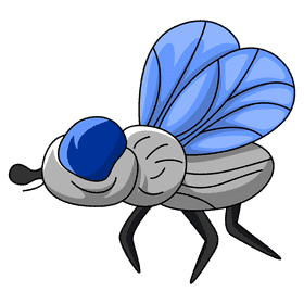 Housefly sniffing clipart