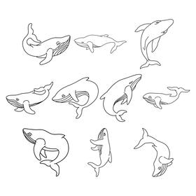 Humpback whale  set black and white vector