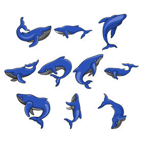 Humpback whale vector set vector