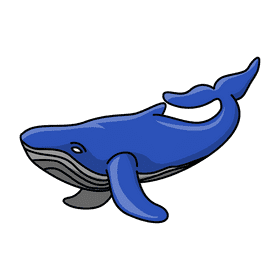 Humpback whale snaking clipart