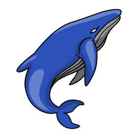 Humpback whale turning clipart