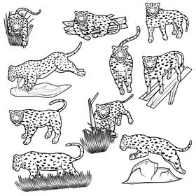 Leopard Set black and white vector