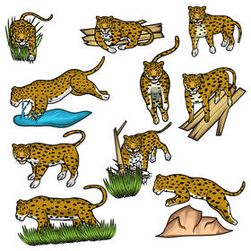 Leopard Set vector